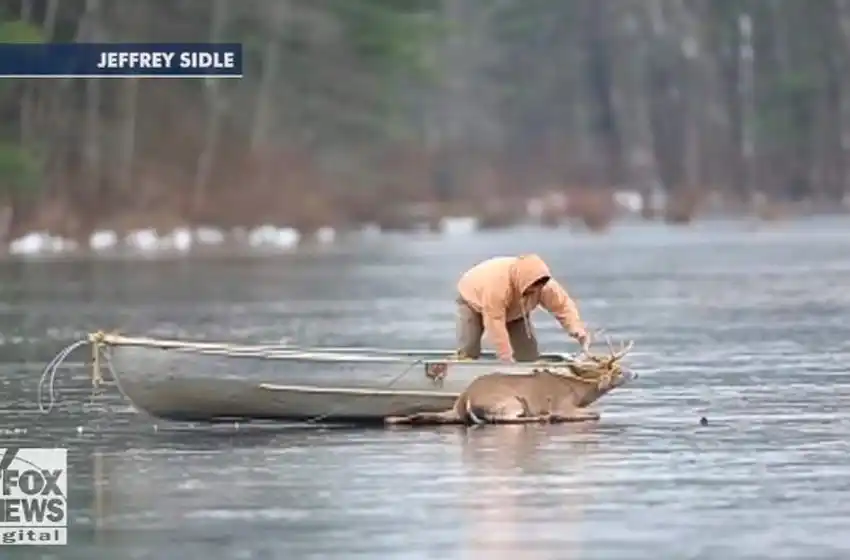 Condenaron a un cazador furtivo de ciervos a ver Bambi una vez al mes