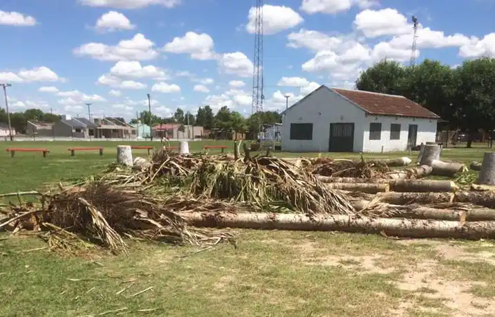 Aclaraciones de Atlético María Grande por la tala de palmeras en su predio