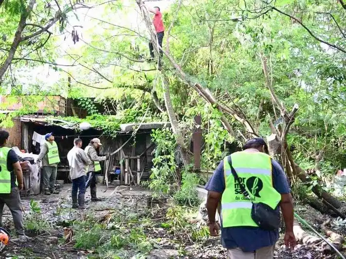 La Municipalidad intensifica operativos de 
saneamiento y eliminación de microbasurales