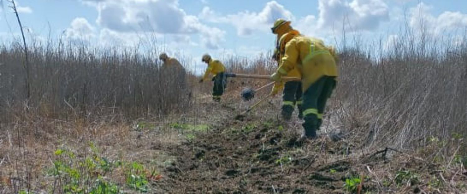 Quedó controlado el foco de incendio en islas del Delta