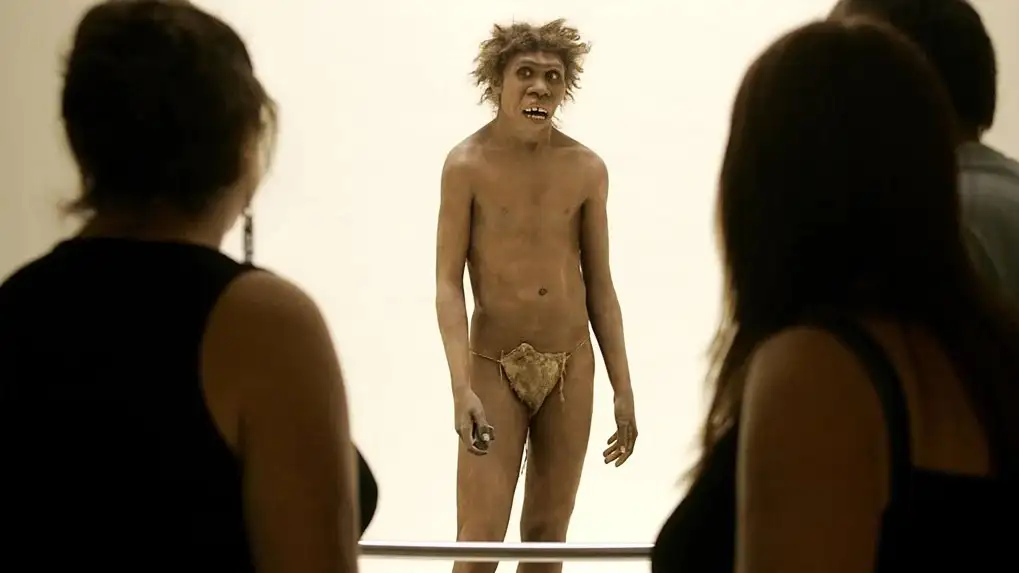 Hombre Neandertal en un Museo.