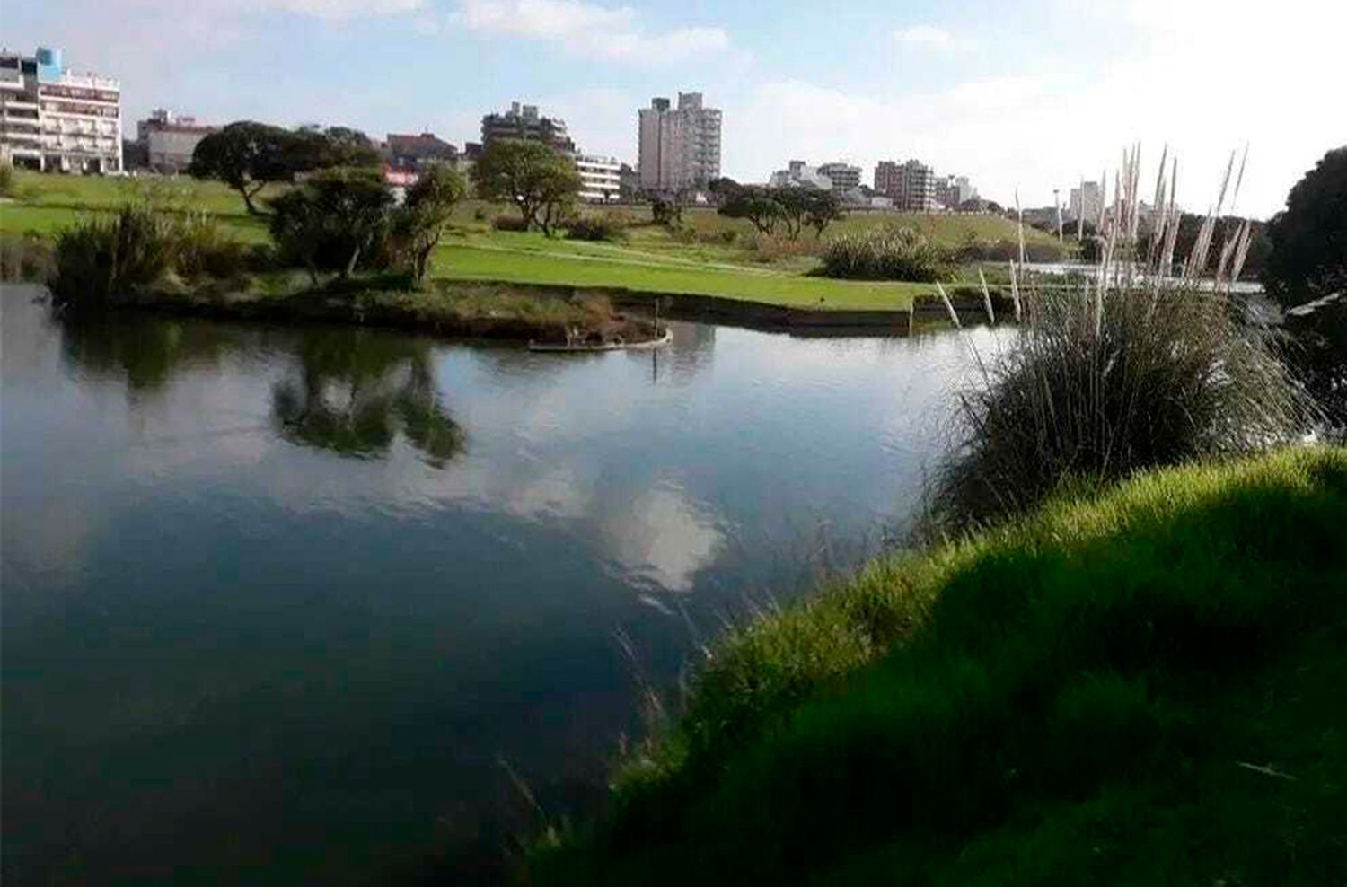 Nuevos llamados a licitación para la creación del Parque Ambiental en Punta Mogotes