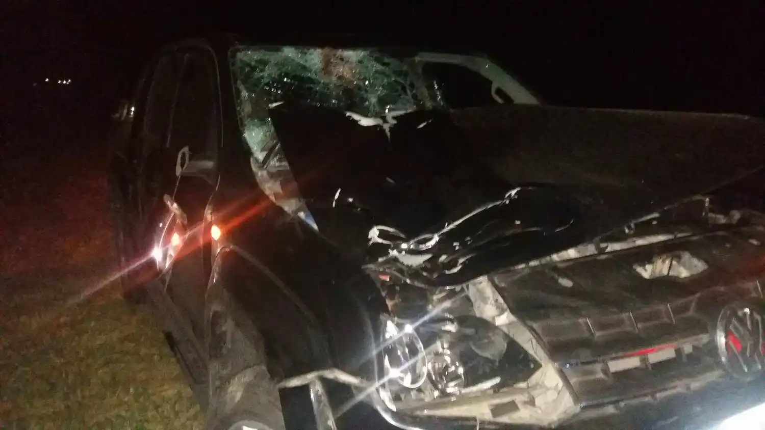 Trece caballos se les atravesaron sobre la ruta: destruyeron su vehículo