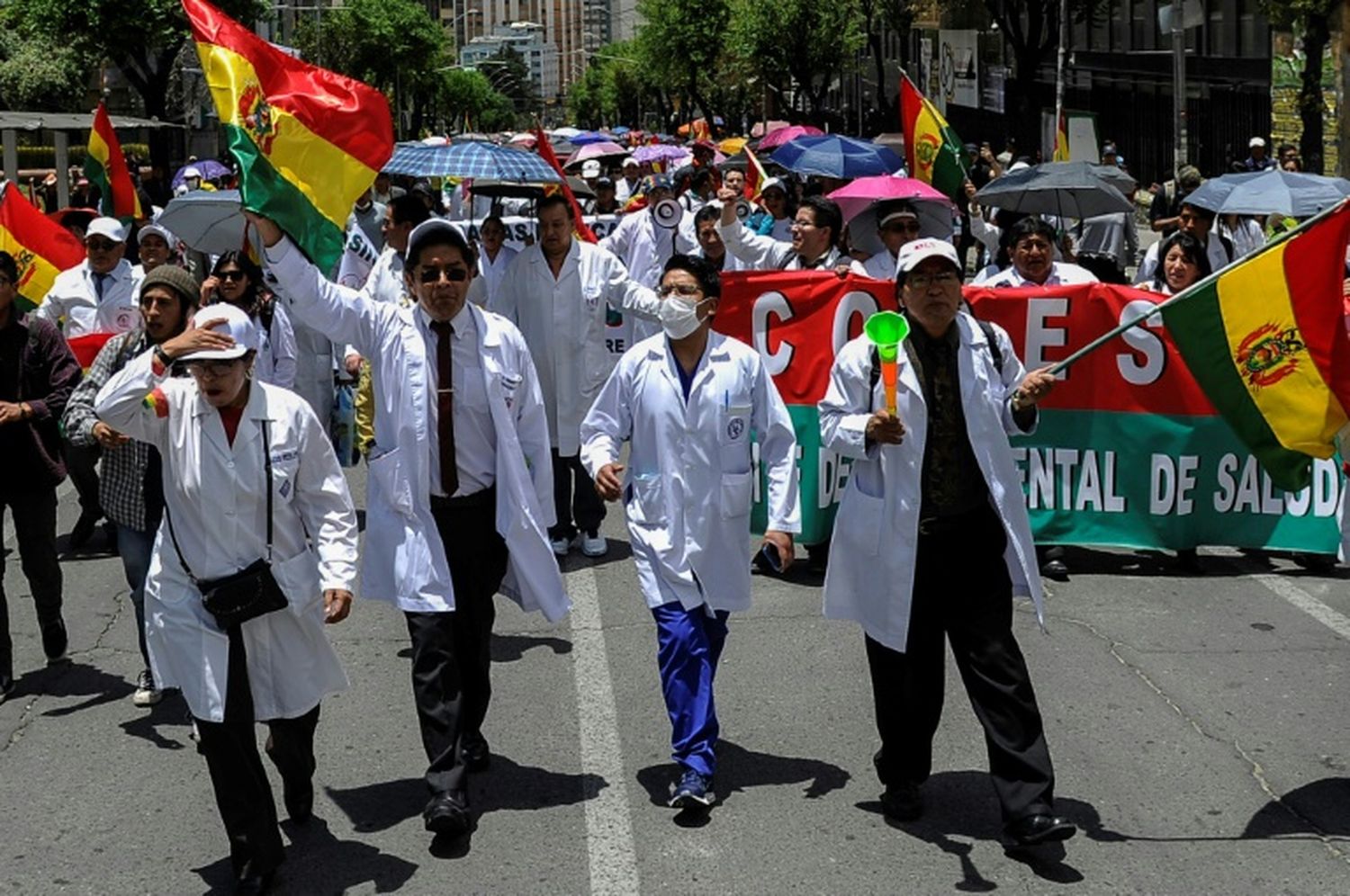 Bolivia solicitó una auditoria del recuento de votos a la OEA