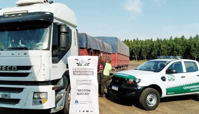 Decomisan 196 toneladas de soja sin aval fiscal  en siete  camiones