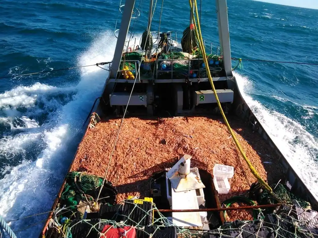 "Muchos buques no irán a la zafra", advirtieron.