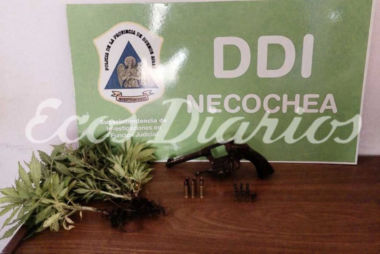 Secuestraron un revólver y plantas de marihuana en allanamiento por un robo