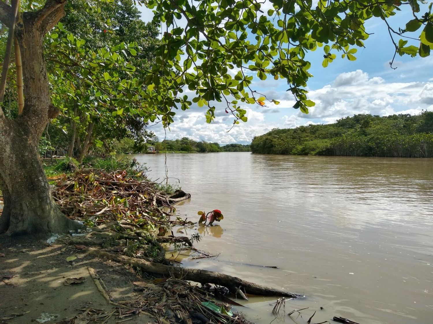 Misteriosa ISLA surgió en el Urabá antioqueño