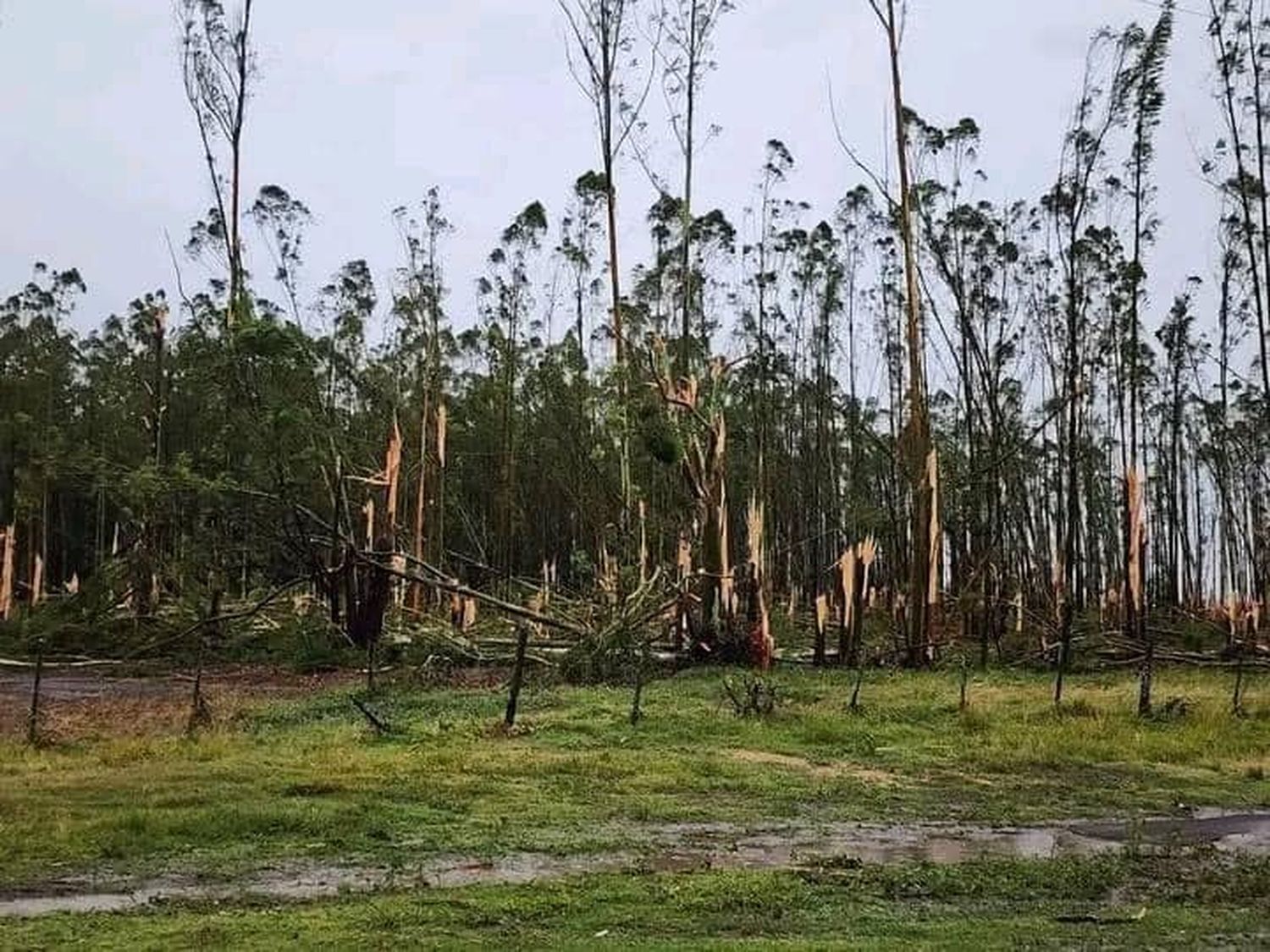 Entre Ríos continúa con alerta meteorológica por fuertes temporales