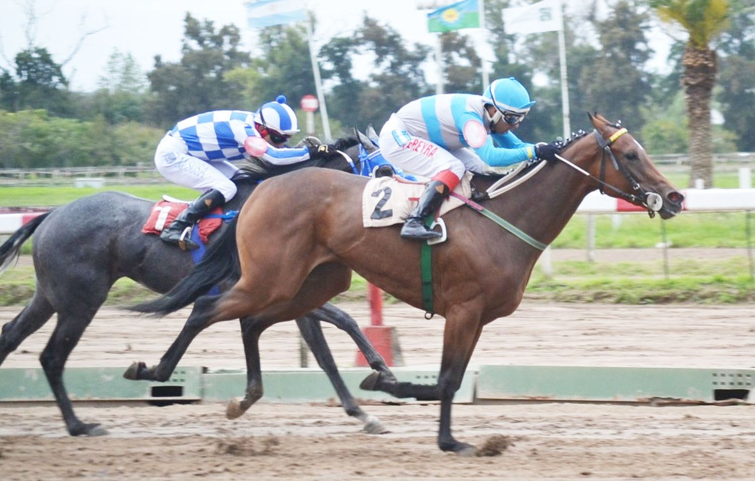 La Meninha buscará retomar la senda del triunfo en el Clásico Miss Terrible, en San Isidro.