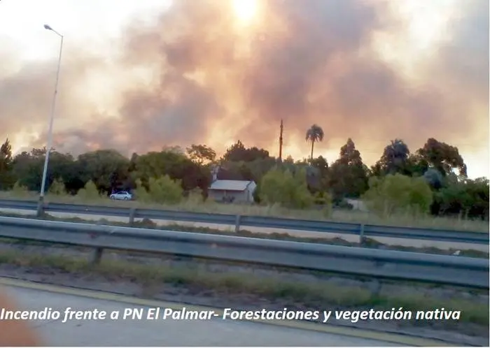 Que no se haga humo nuestra riqueza