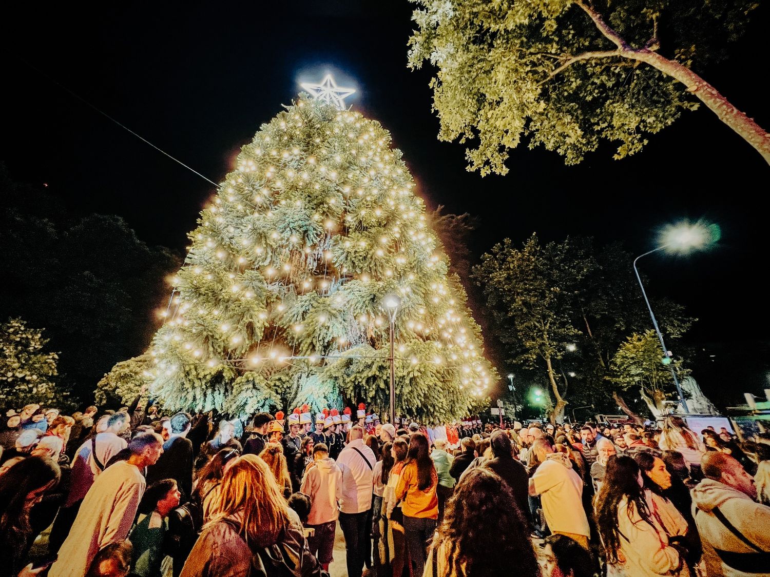 Miles de marplatenses disfrutaron del encendido del árbol navideño en Plaza San Martín