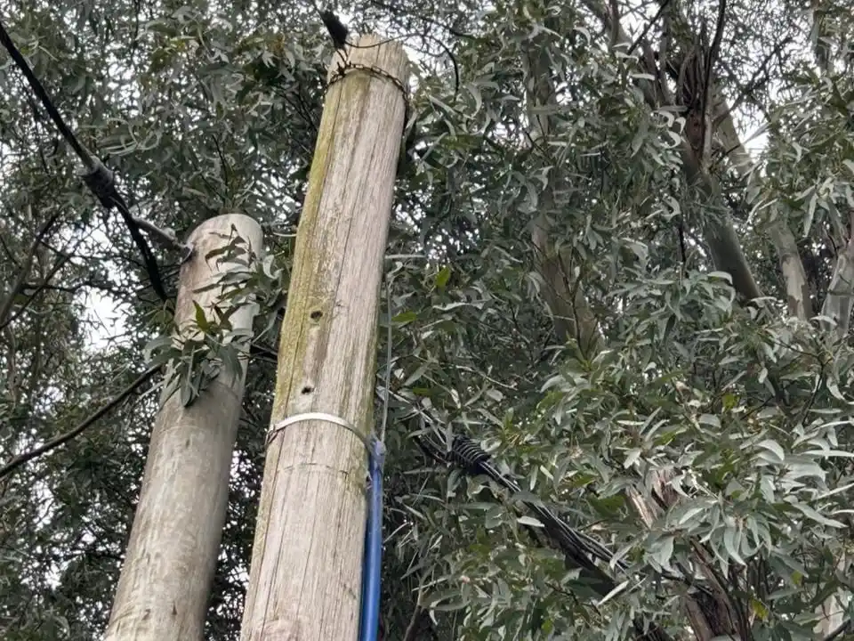 Volvieron a robar cables en diferentes zonas de la ciudad.