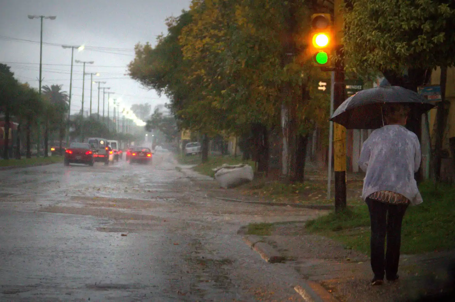 ¿Cómo estará el clima el fin de semana del Día del Padre?