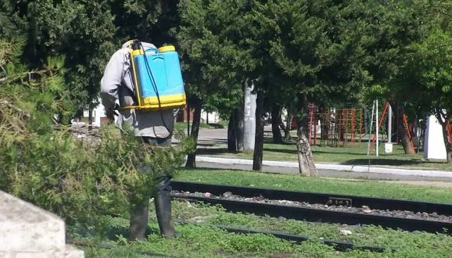 Junín: Municipio desconoce si fumigan plazas con glifosato
