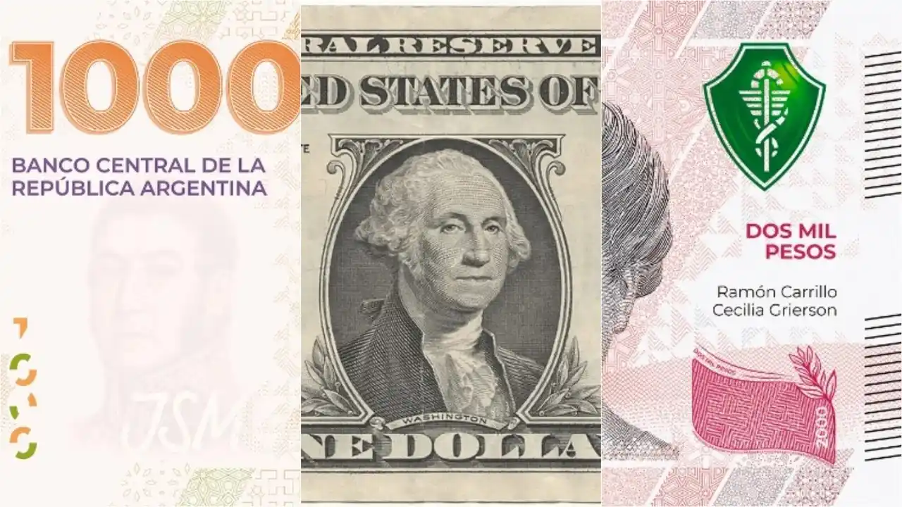 A cuánto hay que devaluar el peso para dolarizar: la cruda cifra de un expresidente del BCRA y de la CNV