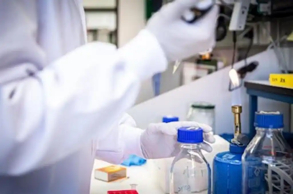 Repunte de casos de coronavirus en Alemania por el brote en un matadero