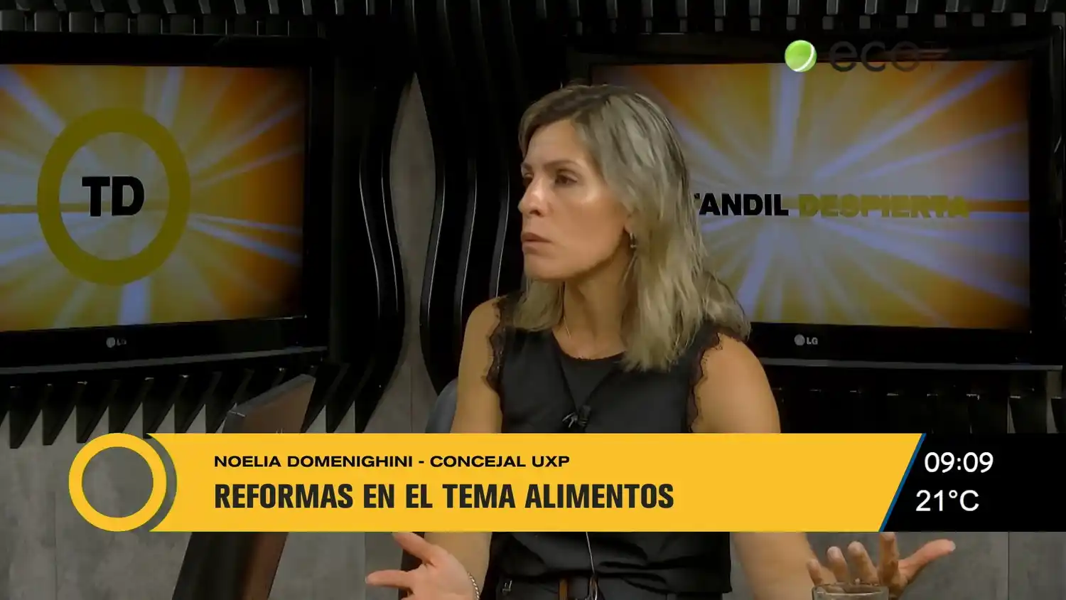 Los principales proyectos de la concejal Domenighini
