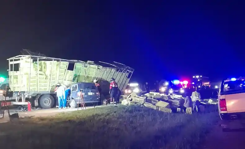 Tragedia en la Autovía Artigas: una mujer perdió la vida tras chocar con un camión
