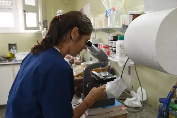 En la semana de la lucha contra la triquinosis se refuerzan recomendaciones