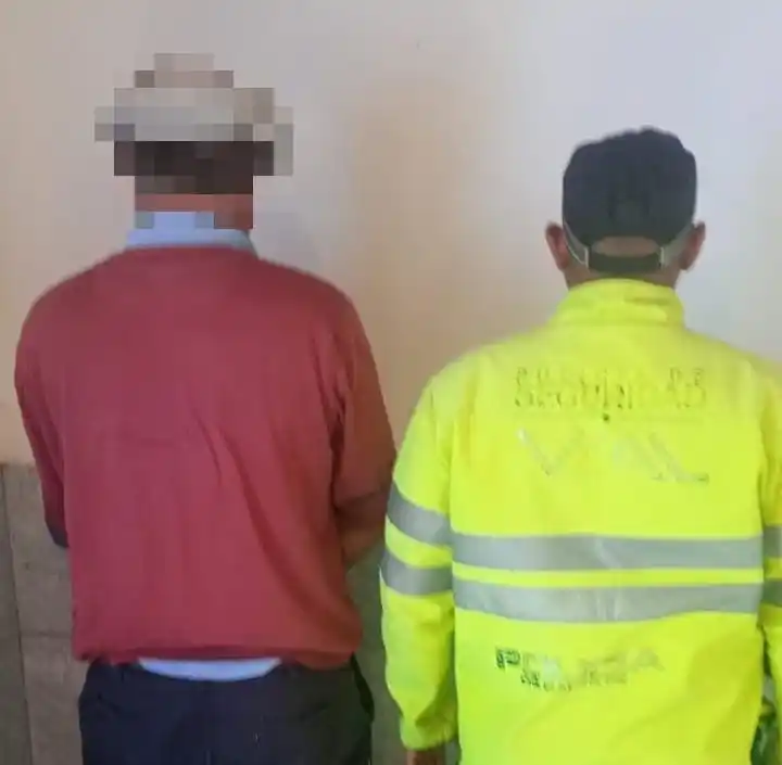 arma gato colorado - 1