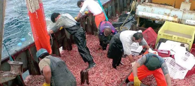 Suspendieron la entrega de pescado gratis tras intervención de Vidal 