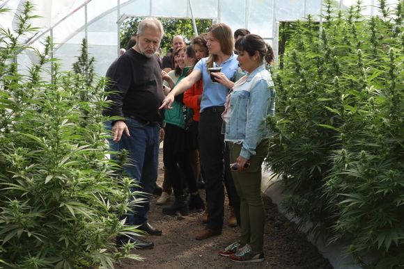La provincia avanza en políticas públicas integrales en materia de cannabis medicinal