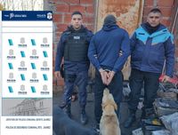 Detuvieron a una persona tras un operativo por el robo de placas en cementerios