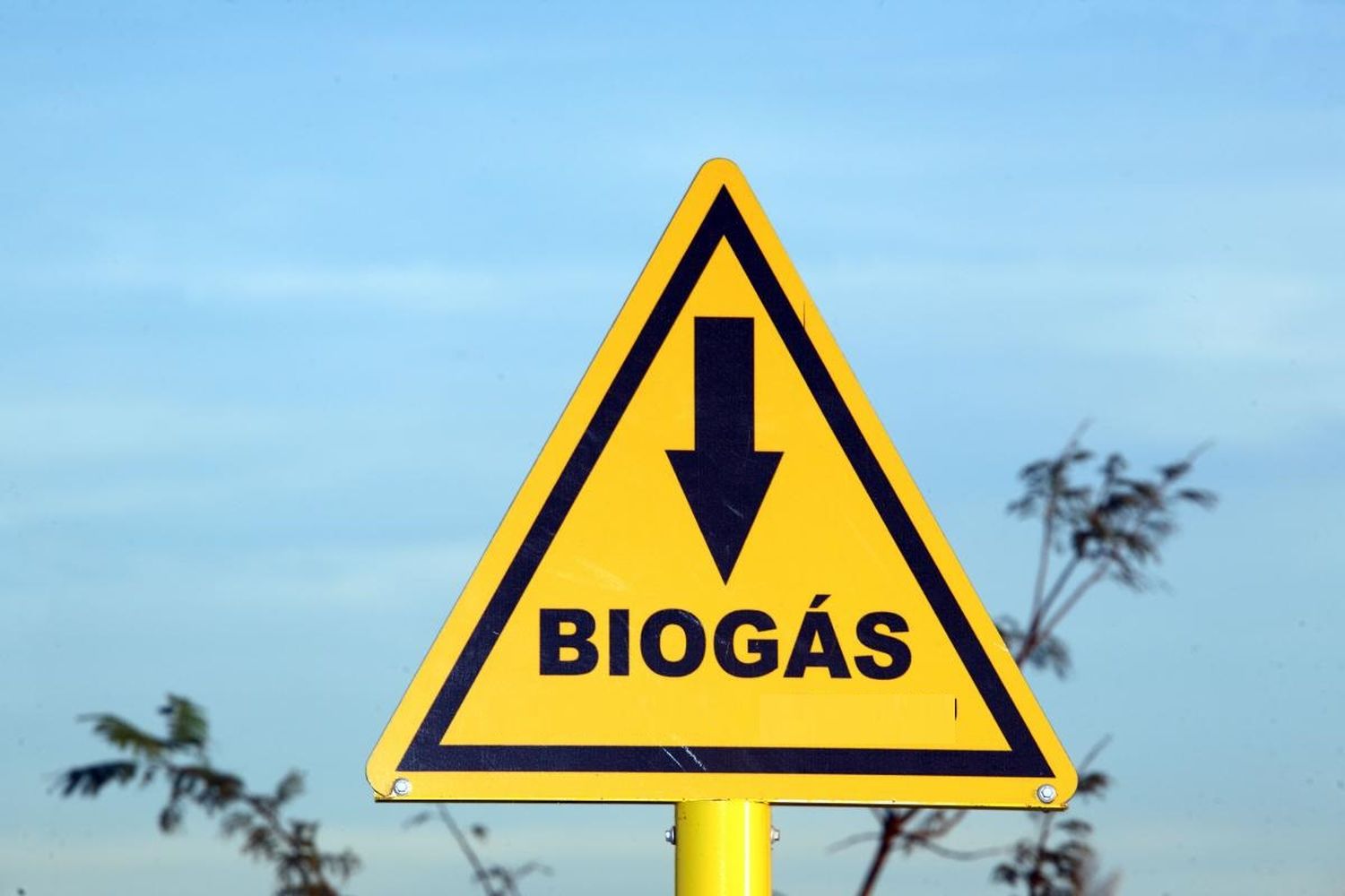 Entre Ríos se destaca en el país por su potencial para la generación de biogás