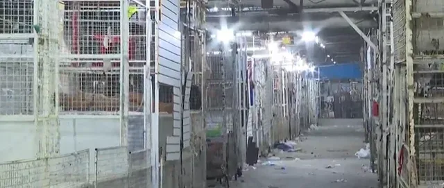 "Estamos esperando que vengan más socios de la cooperativa", contaron los feriantes.