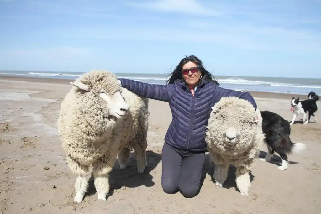 Sandra y sus ovejas
