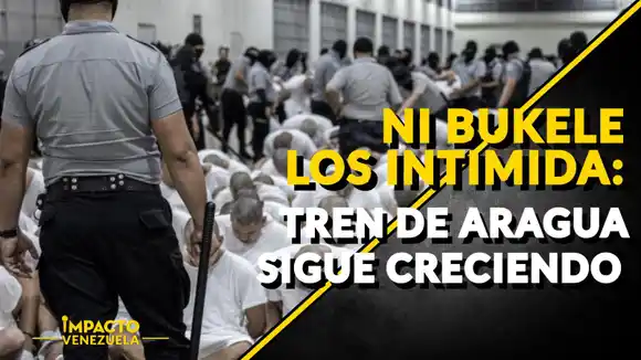 NI BUKELE LOS INTIMIDA: Tren de Aragua sigue creciendo