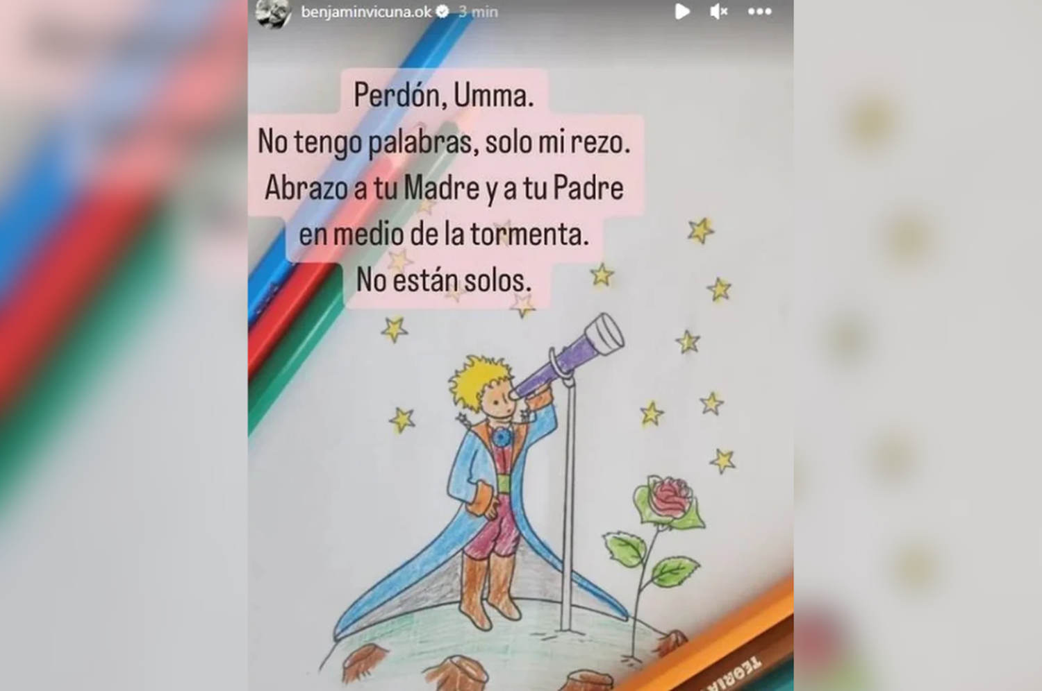 Mensaje de Vicuña