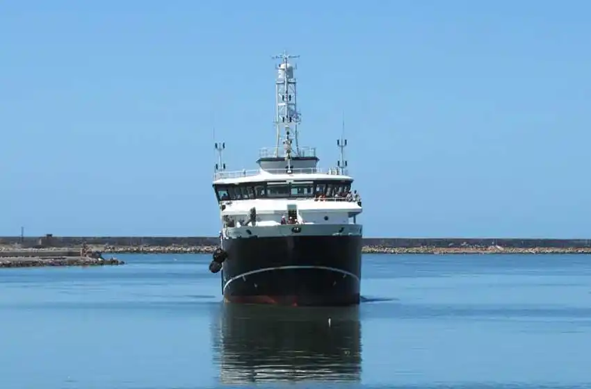 Finalizó la campaña de evaluación del calamar