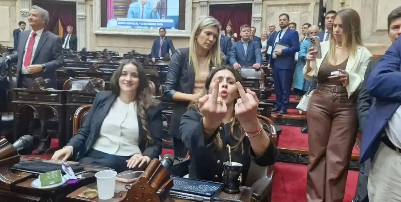 Acusaciones, insultos y golpes marcaron el clima de violencia en la Cámara de Diputados de la Nación.