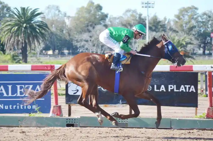 La Selección de Potrancas, al tope de la cartelera
