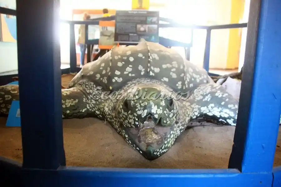 Atractiva muestra. En la Estación Hidrobiológica