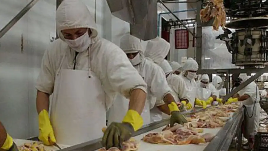 Exportaciones aviares