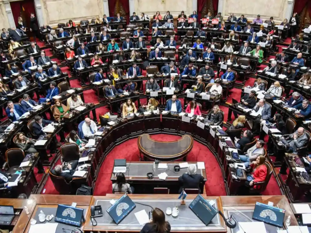 El Senado anuló los vetos de Milei a las leyes de financiamiento universitario y emergencia pediátrica