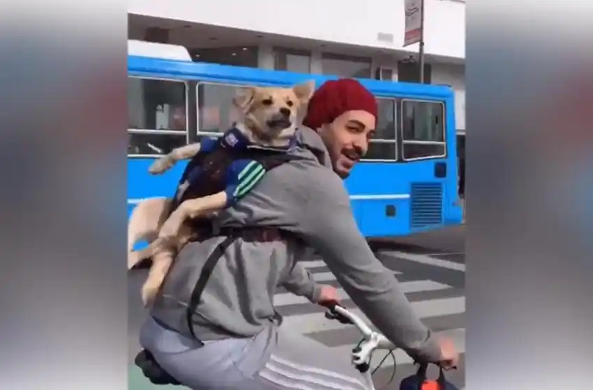 «Ah, vos sos coso», el divertido video de Pablo Granados del perro-mochila