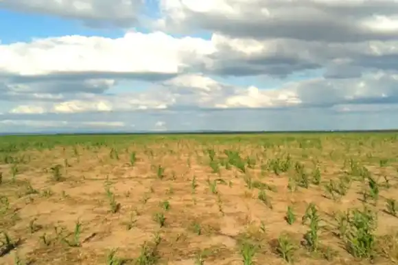 Un informe reveló que en enero se normalizarían las lluvias y llegaría el final de la sequía