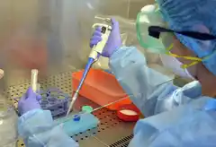 El laboratorio de Veterinarias también procesa muestras de Saladillo