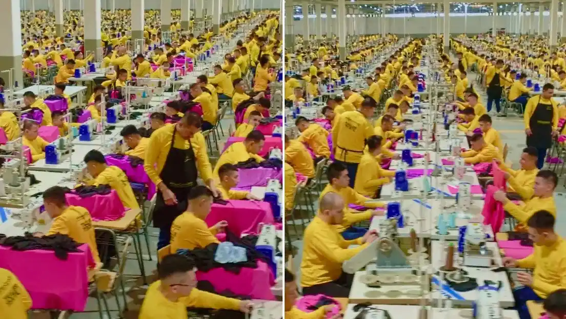 ¡A TRABAJAR! Bukele muestra programa de reinserción de privados de libertad (+Video)