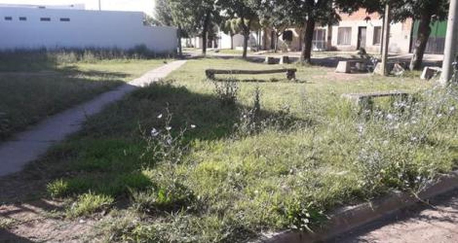 Reporte: El estado de la placita