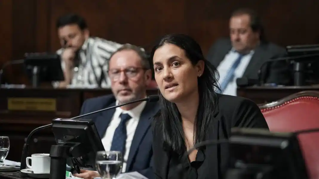 La senadora del Frente Renovador, Sofía Vannelli, cuestionó el ajuste del Gobierno nacional a los jubilados, mientras en paralelo "le baja impuestos al campo".