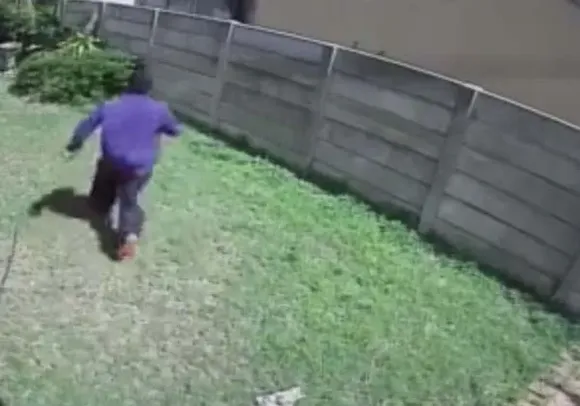 Por las cámaras de seguridad, descubrió a un intruso en su patio: no robó nada, pero volvió al día siguiente