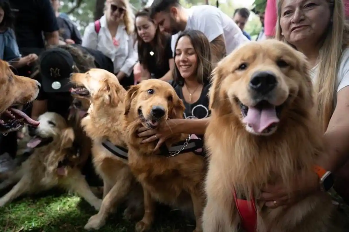 Una marea dorada en Palermo: 2.400 golden retrievers hicieron historia con un récord mundial