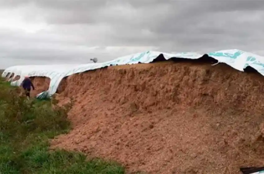 Alerta en la zona Rural: le tajearon un silo bolsa y advierte que la Patrulla "no da abasto"