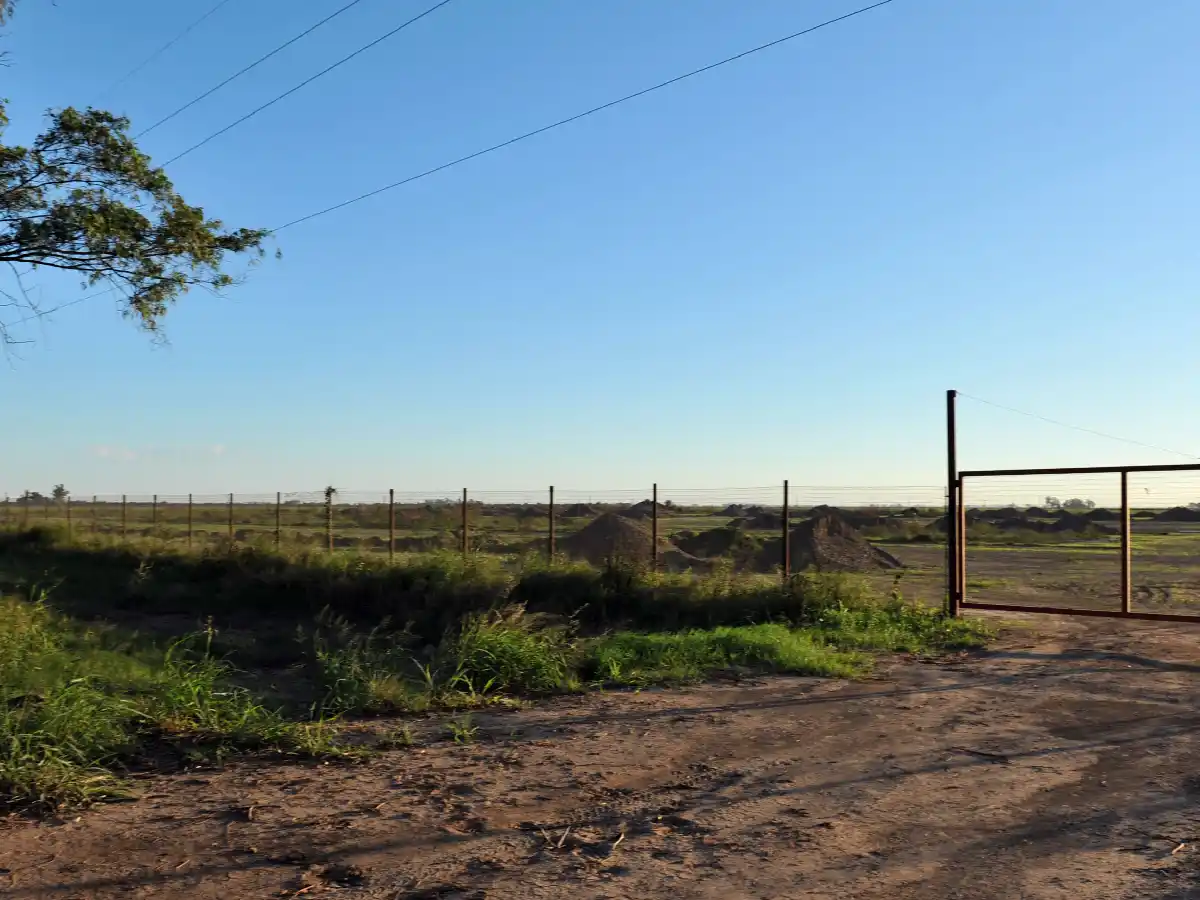 Ante el contexto económico, el grupo Dinosaurio podría replantear su proyecto 