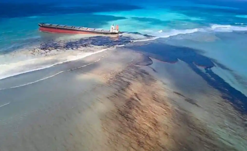 Habitantes de Mauricio recolectan pelo para contener el derrame de petróleo